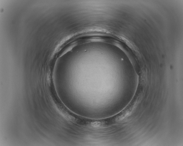 X0000063530064200601201508