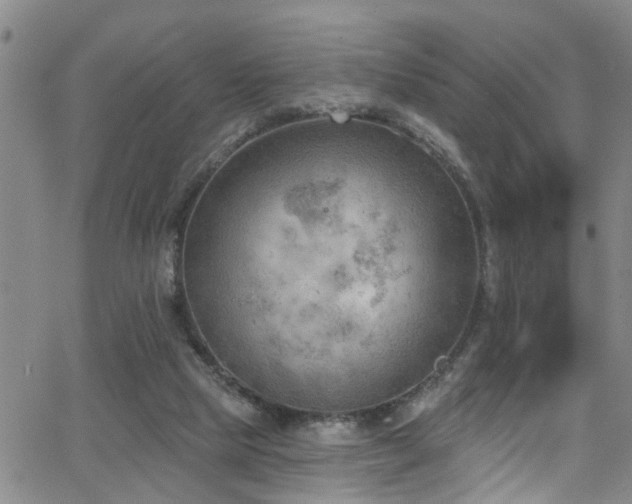 X0000063530065200601201508