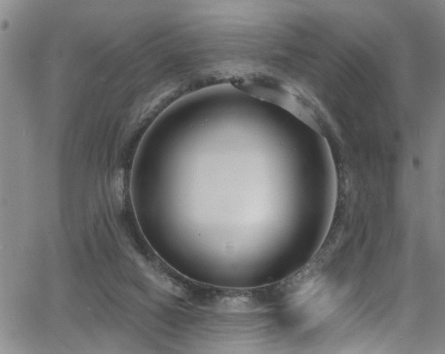 X0000063530066200601201508