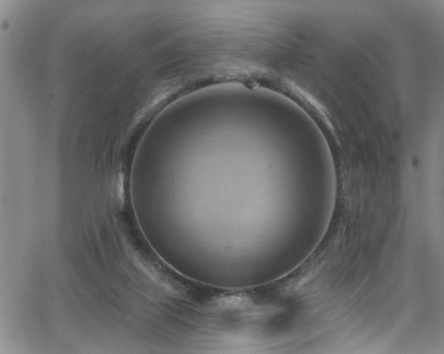 X0000063530067200601201508