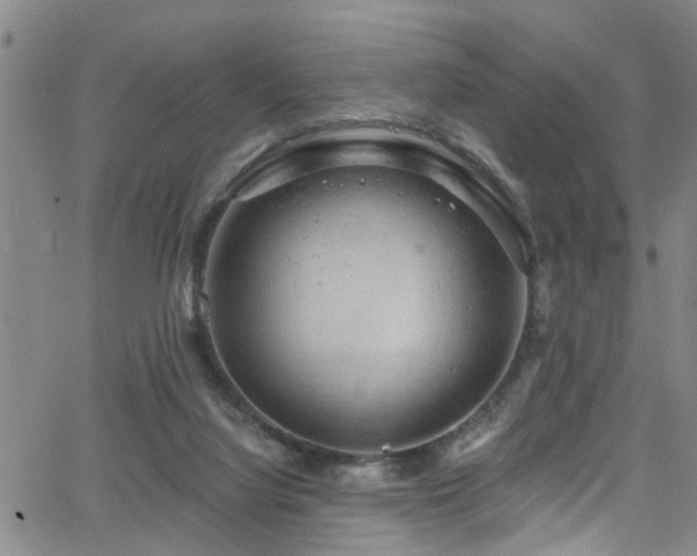 X0000063530068200601201509