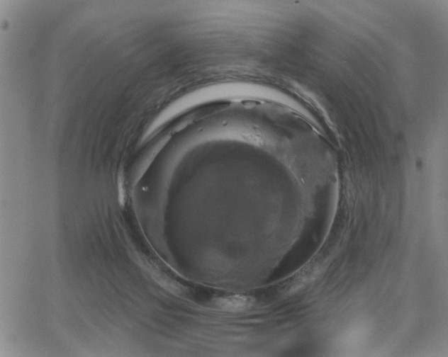 X0000063530069200601201509