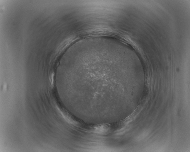 X0000063530070200601201509