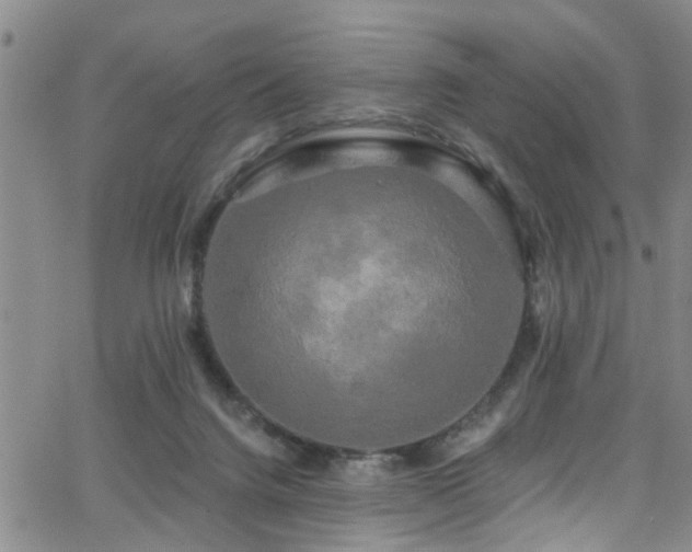 X0000063530072200601201509