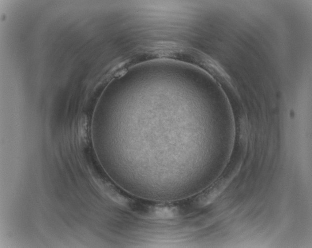 X0000063530073200601201509