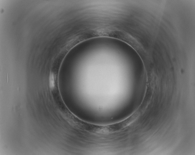 X0000063530075200601201509