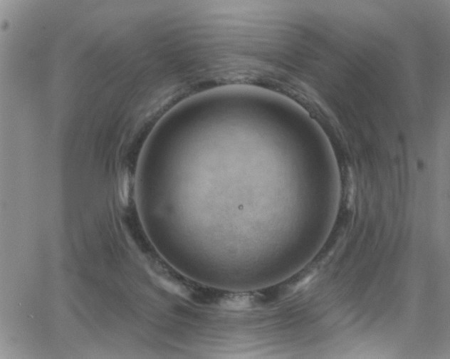 X0000063530076200601201509