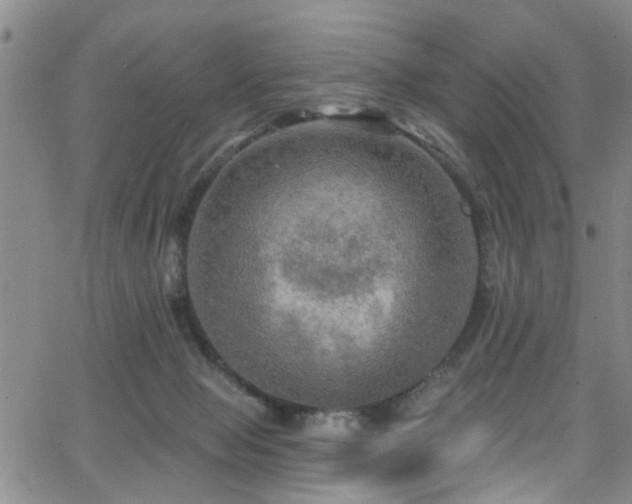 X0000063530077200601201509