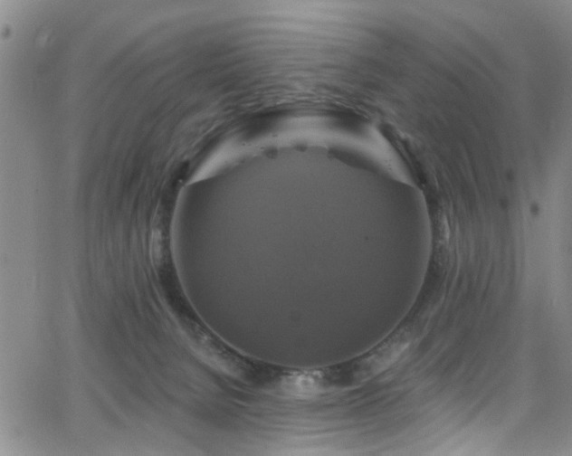 X0000063530080200601201509