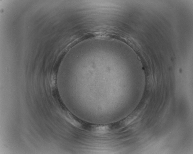 X0000063530081200601201509