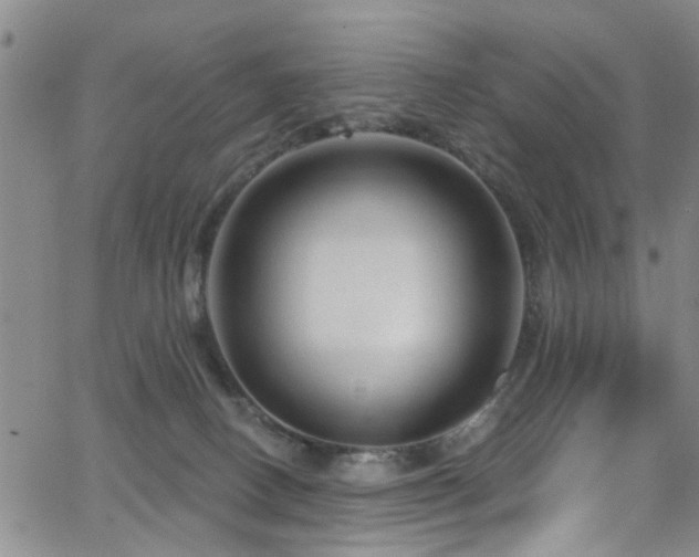 X0000063530082200601201509