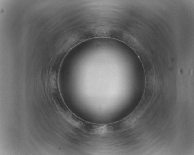 X0000063530083200601201509