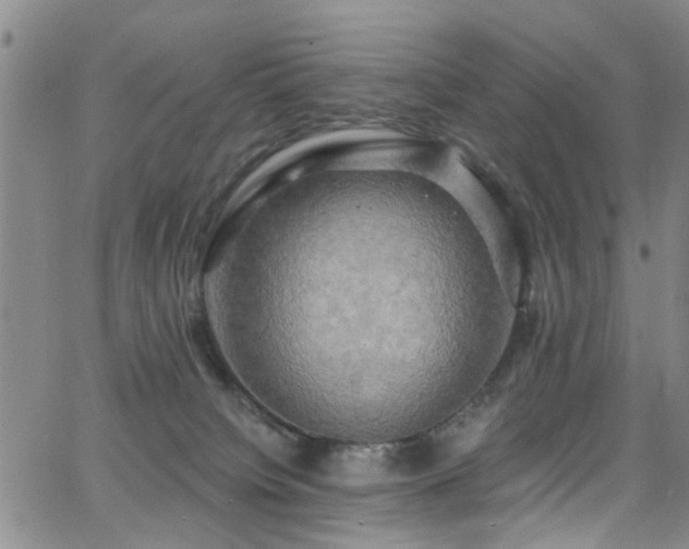 X0000063530084200601201509