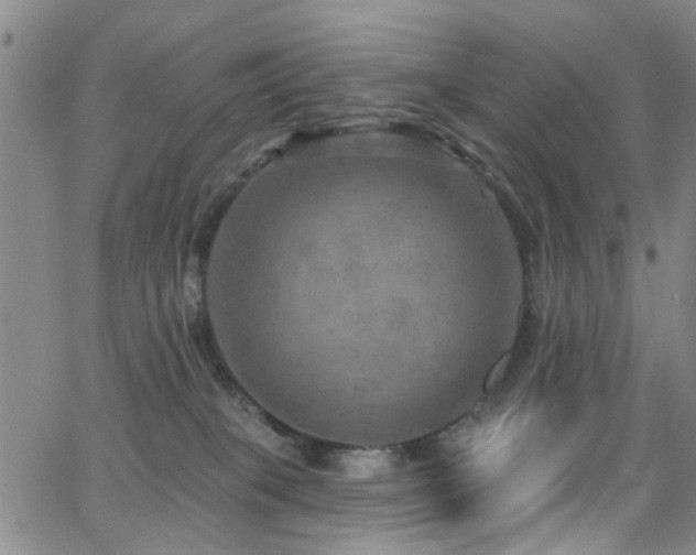 X0000063530085200601201509