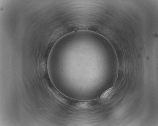 X0000063530086200601201509