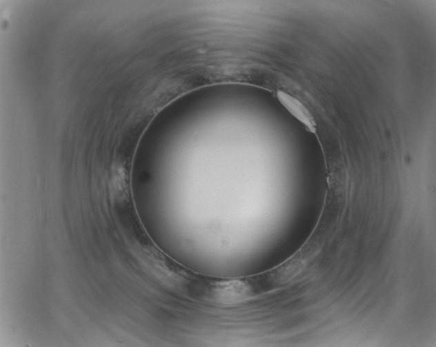 X0000063530087200601201509