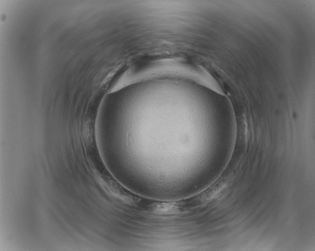 X0000063530088200601201509