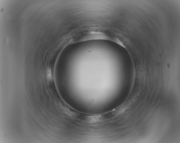 X0000063530089200601201509