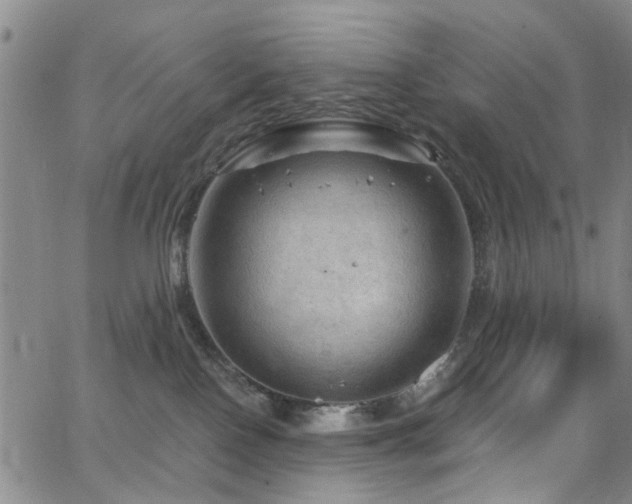 X0000063530090200601201509