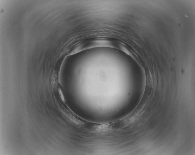 X0000063530092200601201509