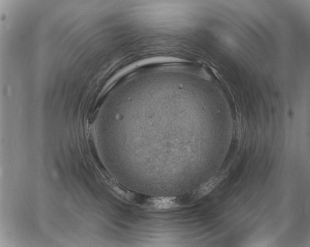 X0000063530093200601201509