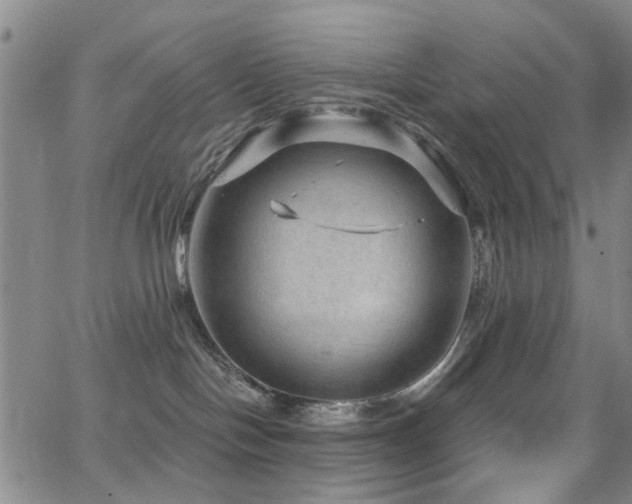 X0000063530094200601201509