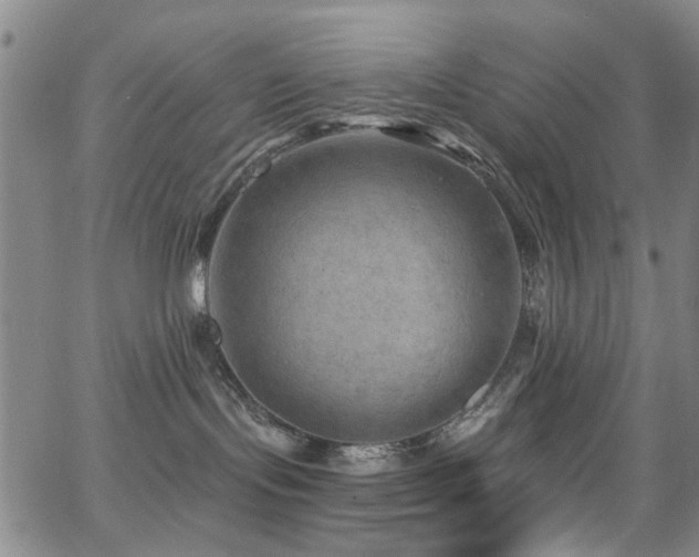 X0000063530095200601201509