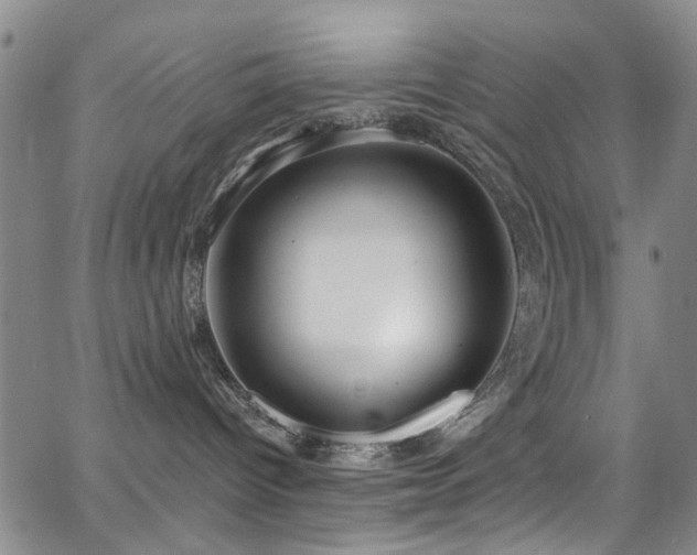 X0000063530096200601201509