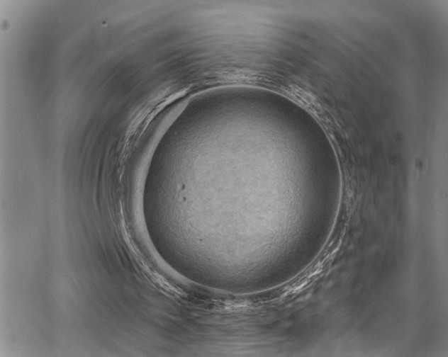 X0000063530097200601201508