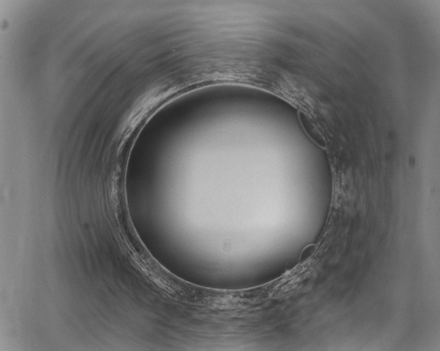 X0000063530098200601201508