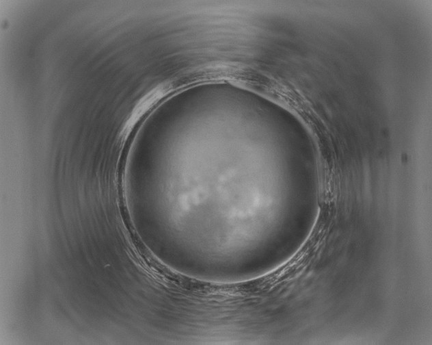 X0000063530099200601201508