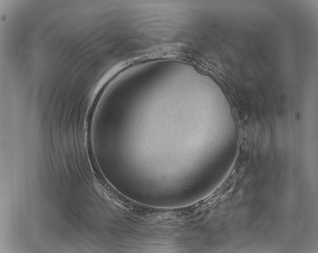 X0000063530100200601201508