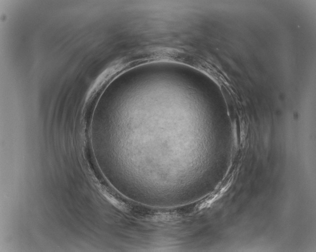 X0000063530101200601201508