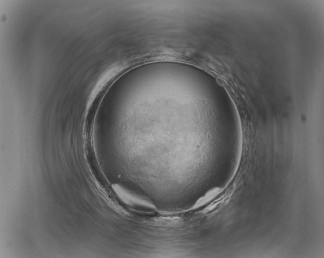 X0000063530102200601201508