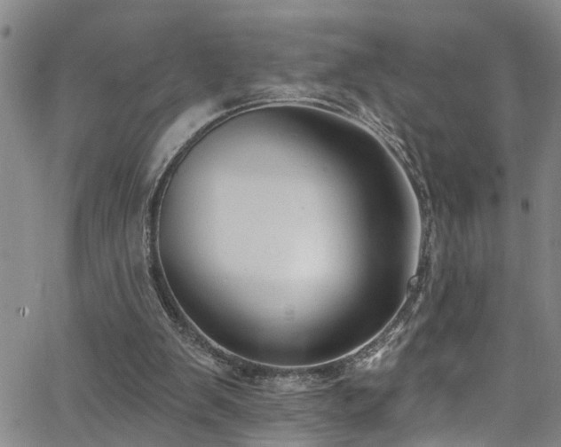 X0000063530103200601201508