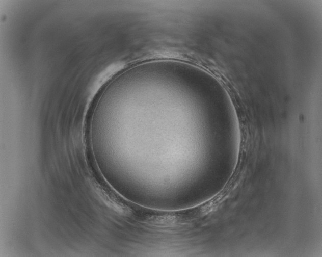 X0000063530104200601201508