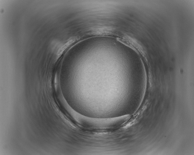 X0000063530105200601201508