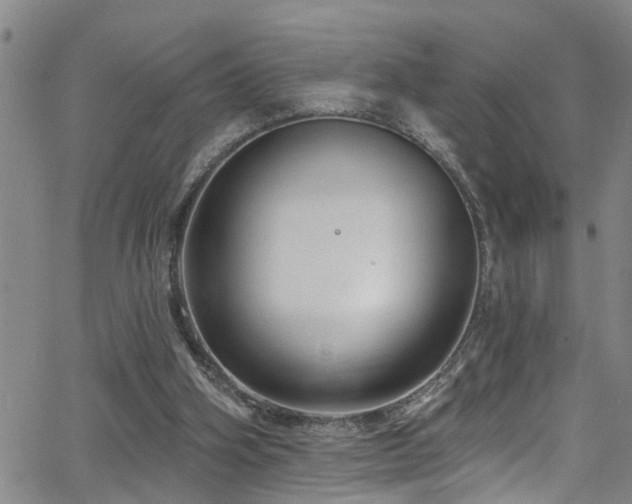 X0000063530106200601201508