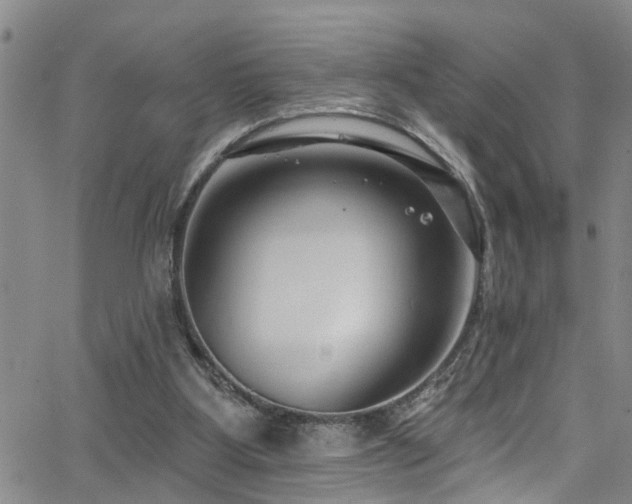 X0000063530107200601201508