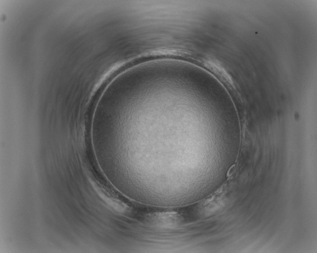 X0000063530108200601201508