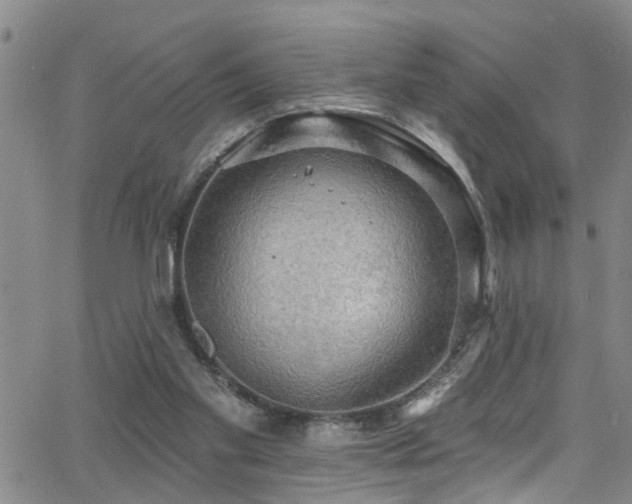 X0000063530109200601201508