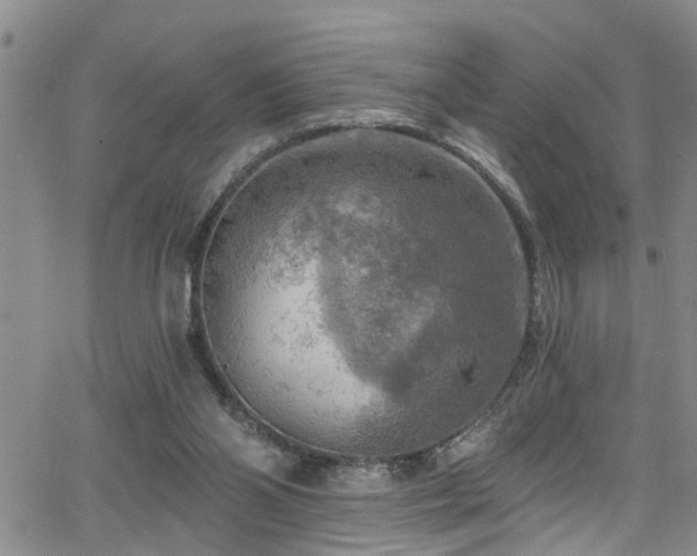 X0000063530110200601201508