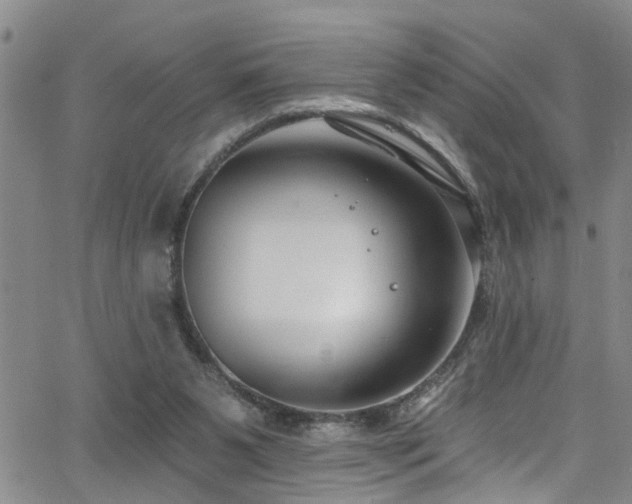 X0000063530111200601201508