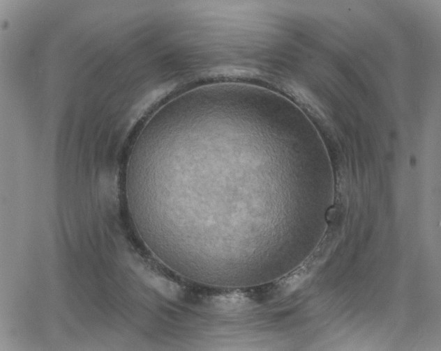 X0000063530112200601201508