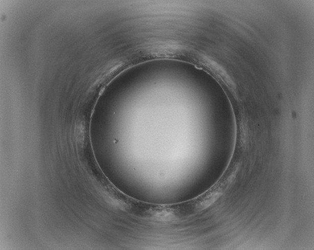 X0000063530113200601201508