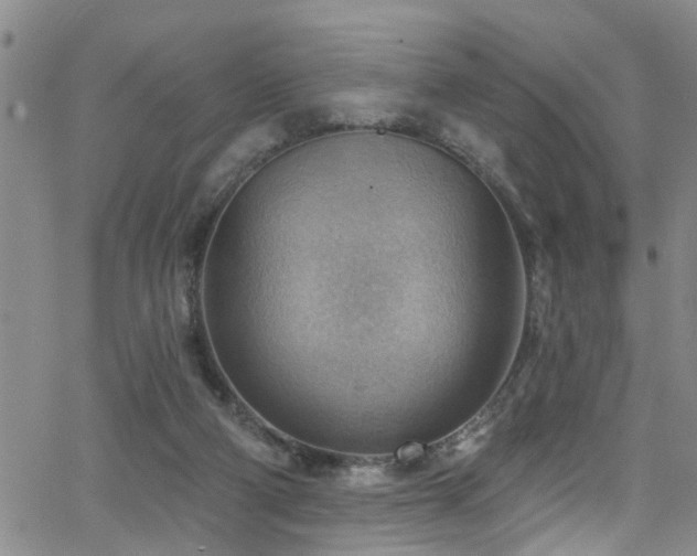 X0000063530114200601201508