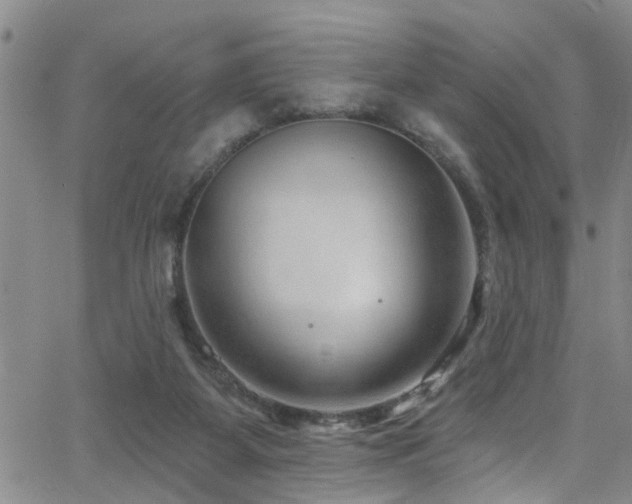 X0000063530115200601201508