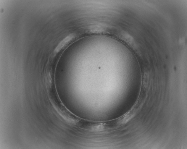 X0000063530116200601201508