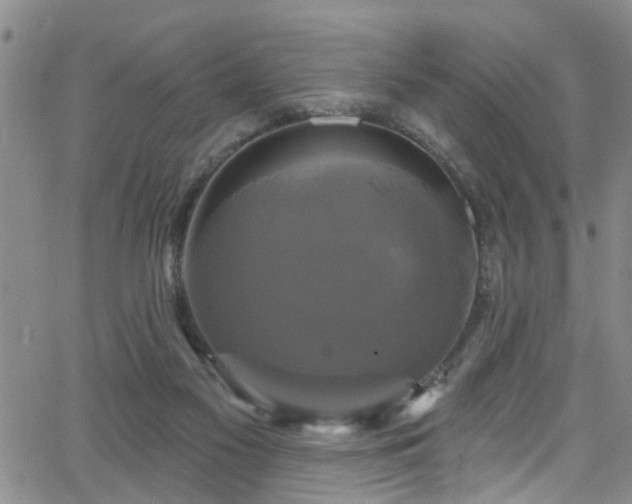 X0000063530117200601201508