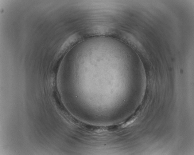 X0000063530119200601201508